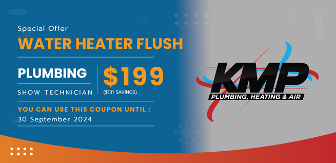 water heater flush coupon